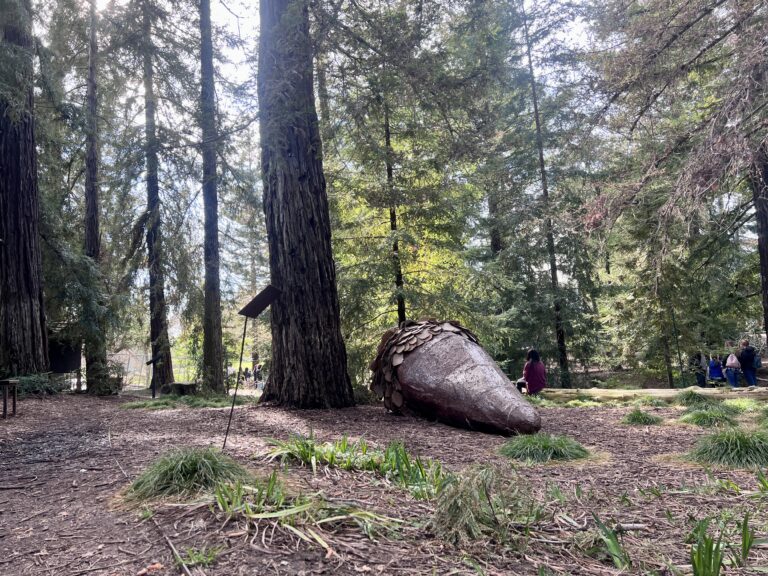 Student sculptures turn the Arboretum into a temporary outdoor museum