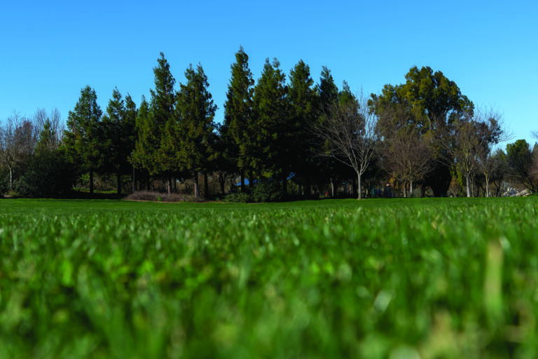 New water usage ordinance added to Davis municipal code