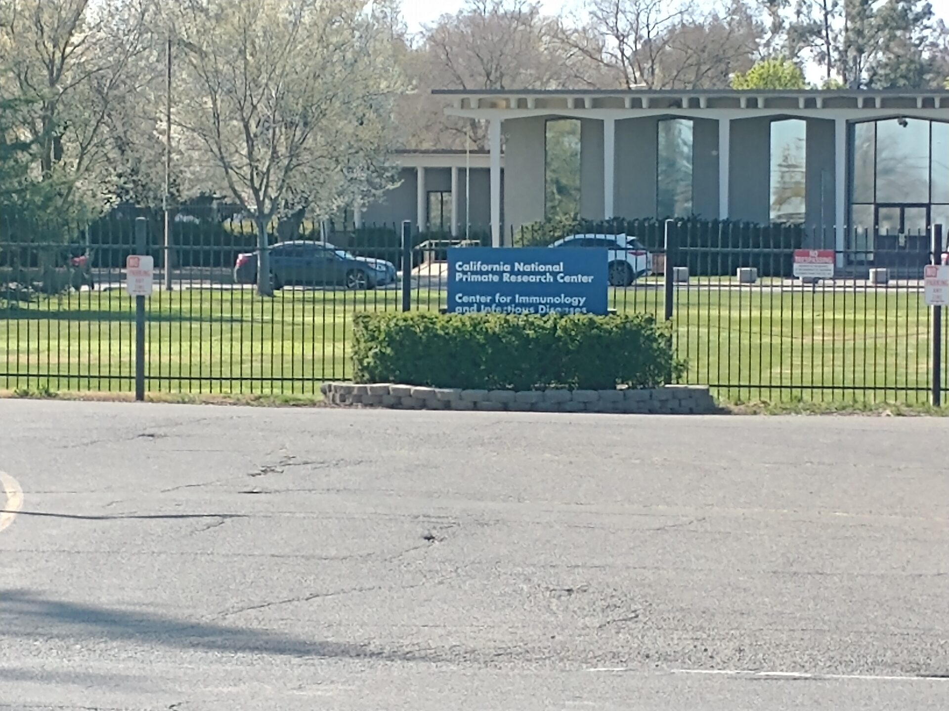 UC Davis primate lab sued to release documentation of Neuralink