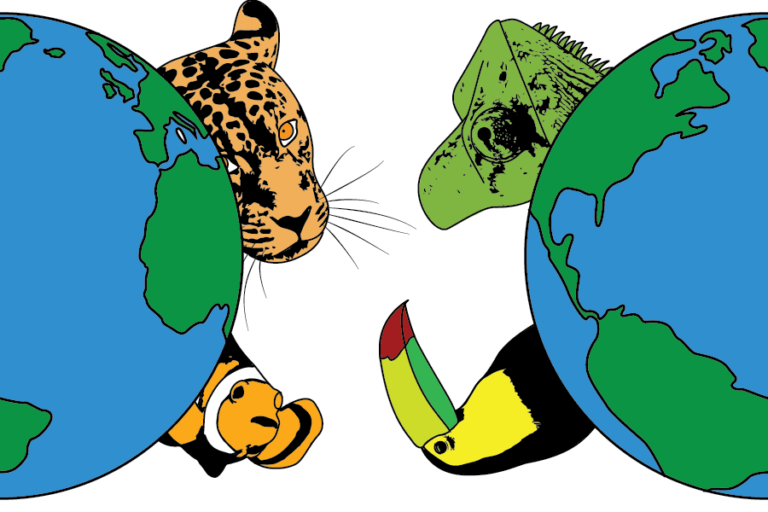 UC Davis biodiversity collections support research, educate public