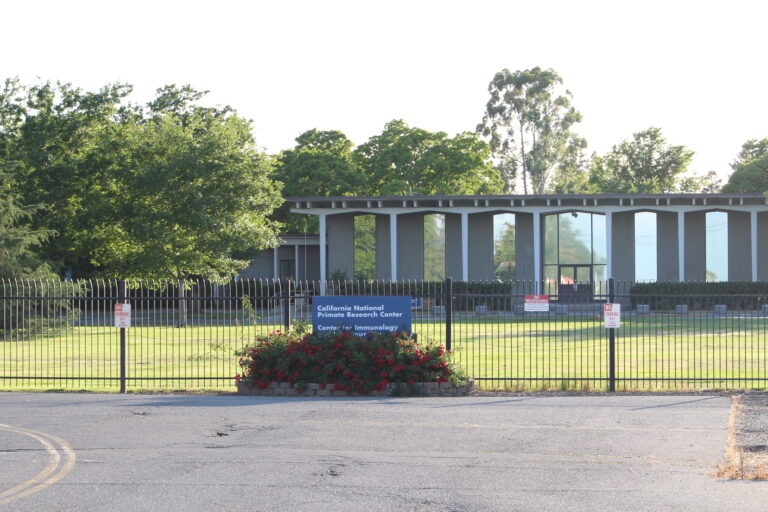 UC Davis wins primate research lawsuit filed by PETA