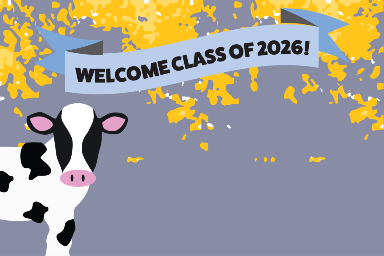 Current students share advice for prospective class of 2026