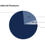 22 – diversity – report – pronouns