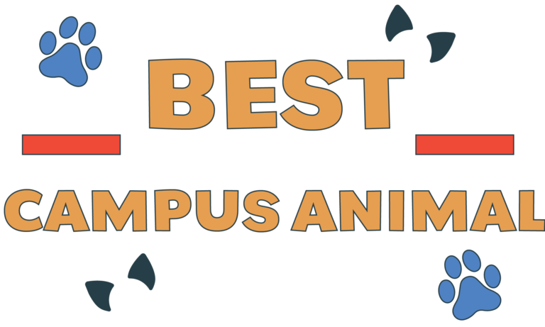 Best Campus Animal: The Cats