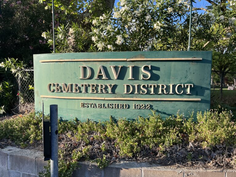 ‘Suffering cries for resolution’: as COVID-19 cases rise, memorials do too