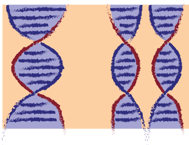 New human reference genome is complete for the first time since 2001