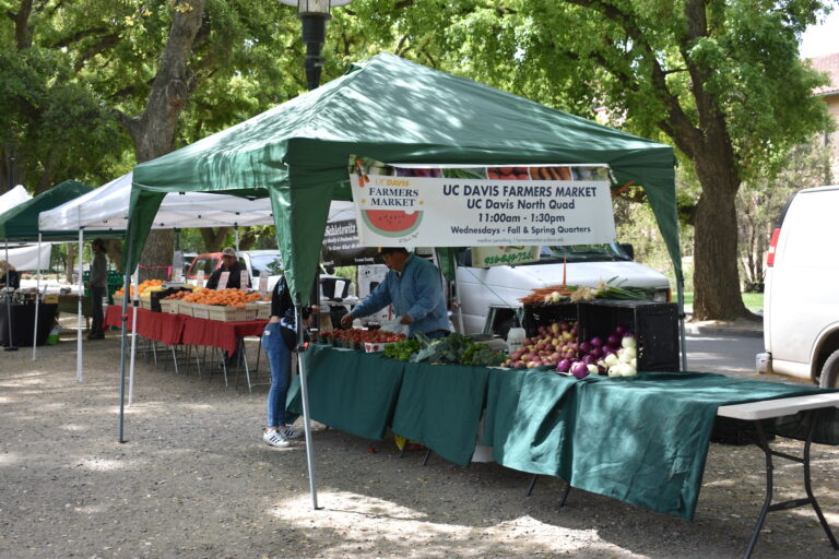UC Davis Farmers Market concludes spring season