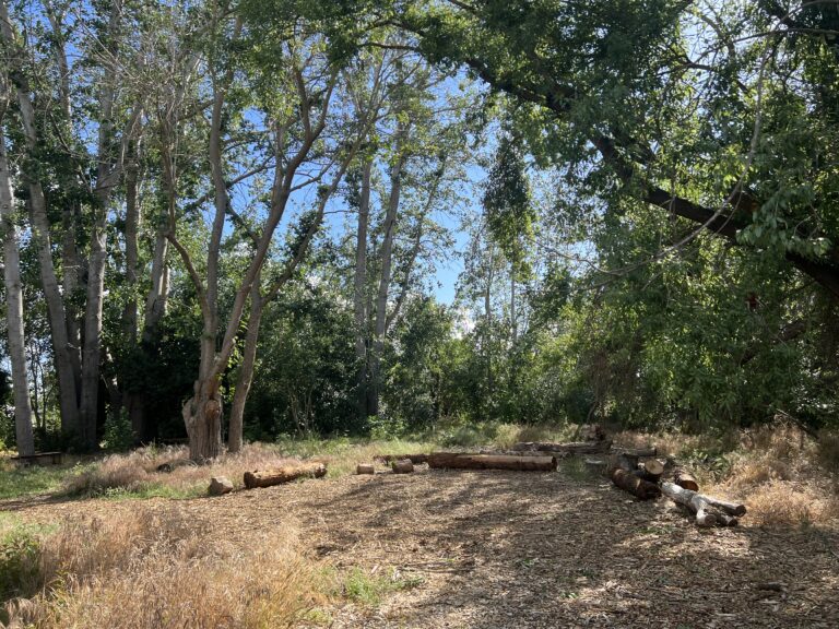Student Farm launches effort to restore wildlife area ‘The Woods’