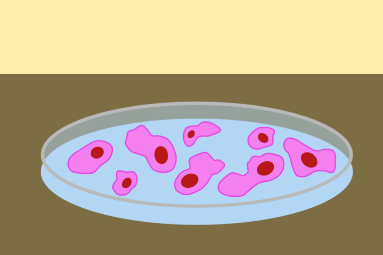 UC Davis researchers are first to measure percentage of live microbes in daily diet 