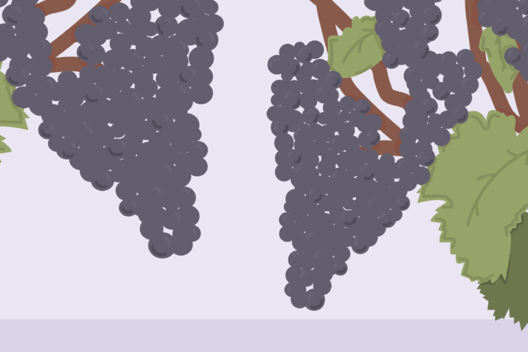 Everything you need to know before buying grapes
