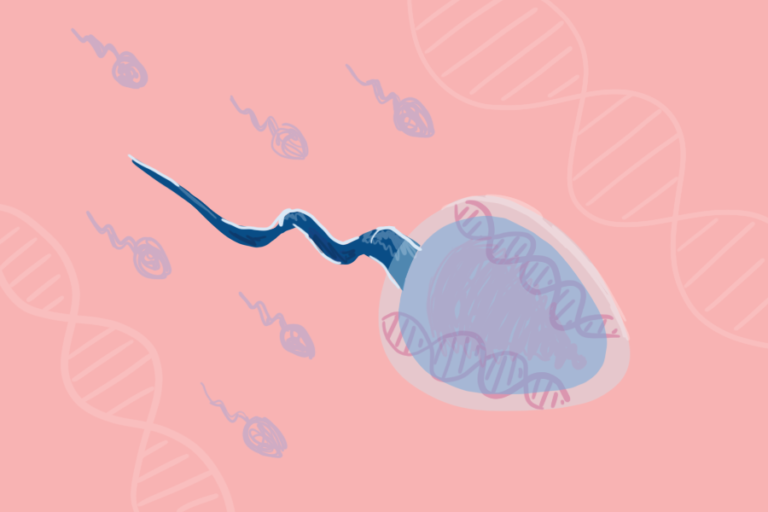 Tenuous Tethers: UC Davis completes study on how DNA chromosomes link to each other during meiosis