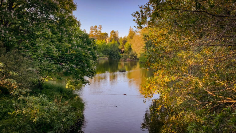 Meet the people who keep the UC Davis Arboretum running