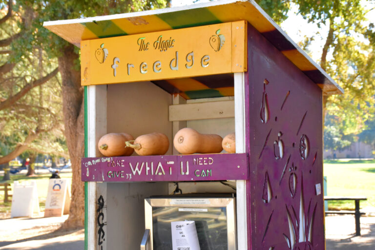 The Green Initiative Fund measure fails in ASUCD fall 2022 election