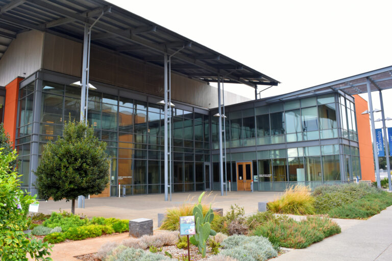 New 360-degree multisensory room launched for food product research at UC Davis