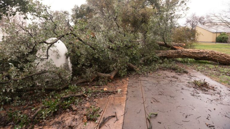 Cleanup begins on campus after an onslaught of heavy storms
