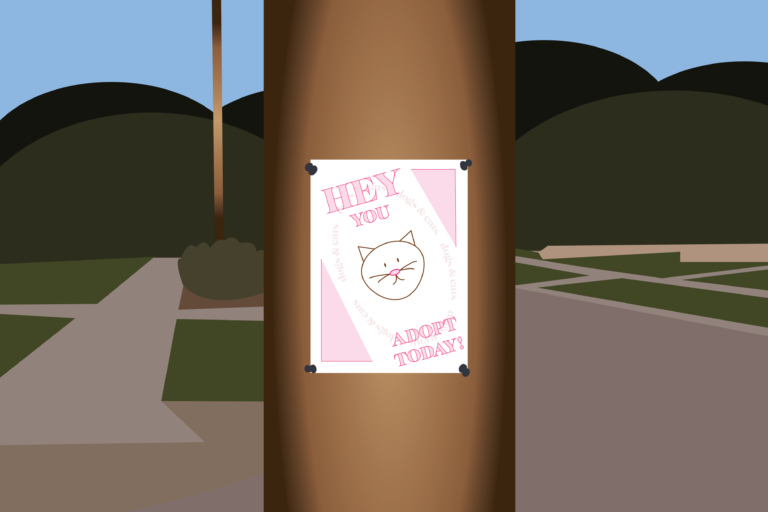 The many benefits of fostering animals