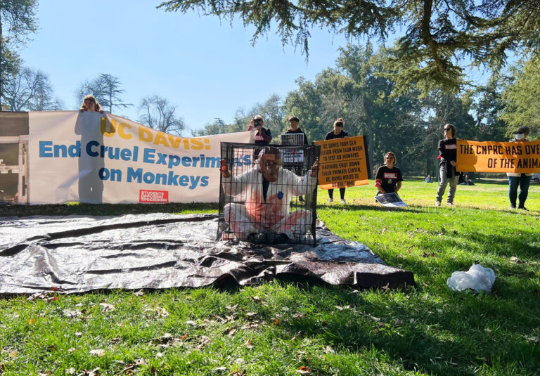 PETA-backed youth organization protests UC Davis researchers’ experimentation on captive primates