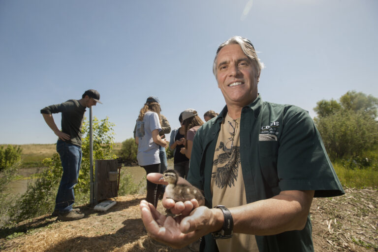 Wildlife, Fish and Conservation Biology professor donates UC Davis teaching prize