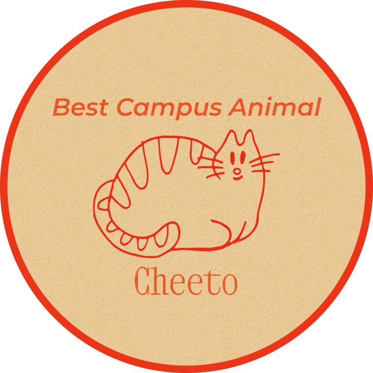Best campus animal: Cheeto