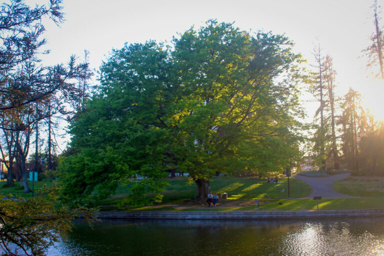 Arboretum project prepares campus landscape for climate change