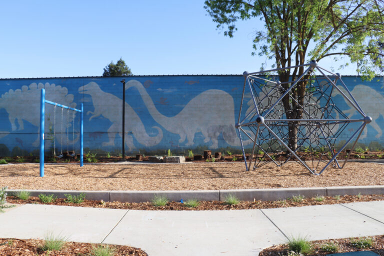 City of Davis renovates N Street Park for first time in more than 20 years