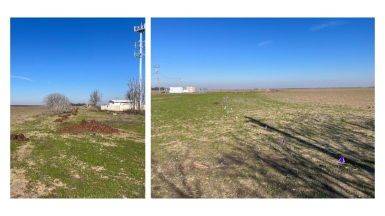 New carbon farming techniques can help mitigate climate change