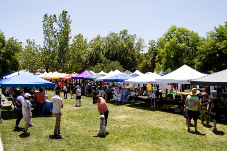 Davis community celebrates Pride Month with ninth annual festival