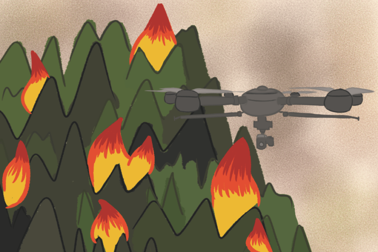 UC Davis researchers use artificial intelligence to accelerate wildfire vegetation redevelopment