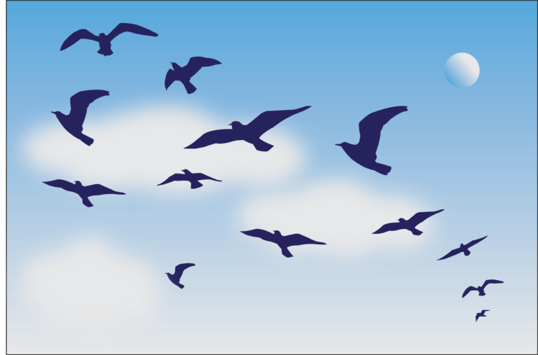 Studying bird flight can enhance flight maneuverability of aerial vehicles