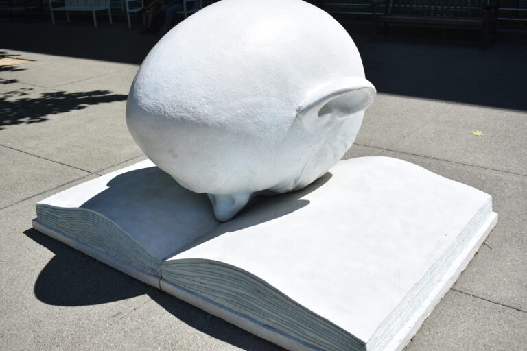 UC Davis to potentially implement a ‘dead week’