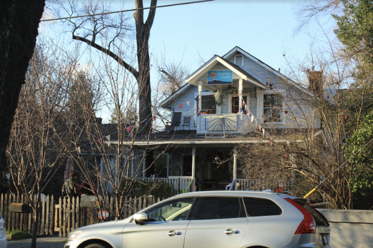 Davis’ beloved Turtle House Co-op through the eyes of its newest hatchlings