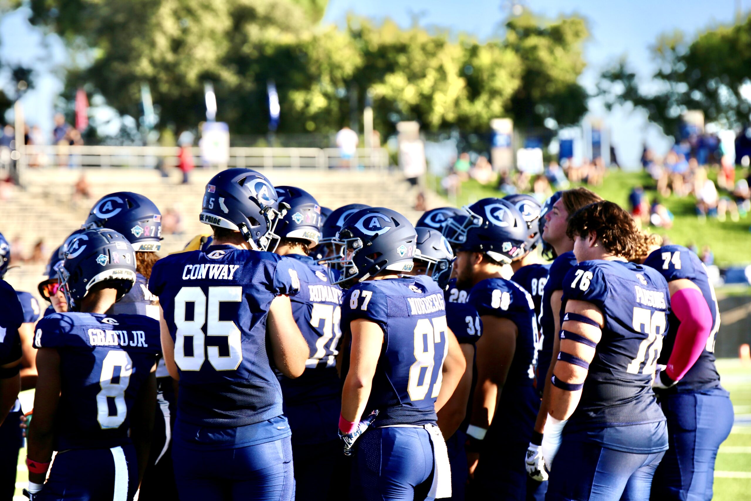 UC Davis football team puts up a good fight against University of