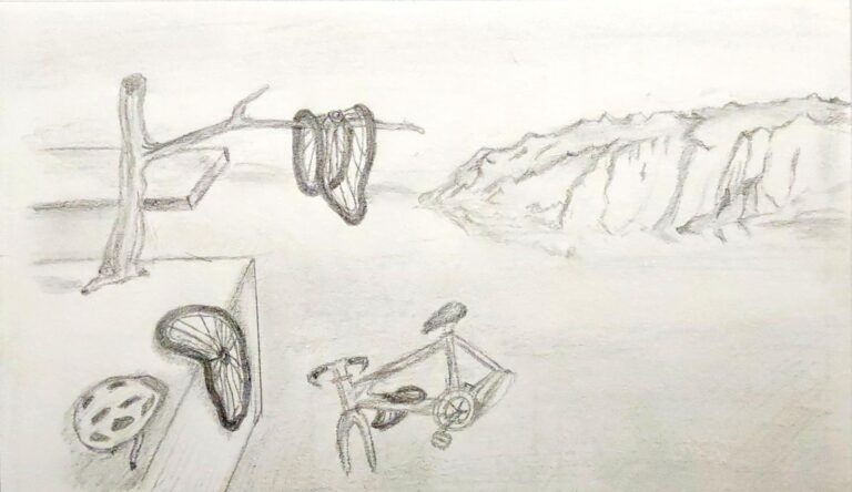 Davis MoMA: Melting Bikes