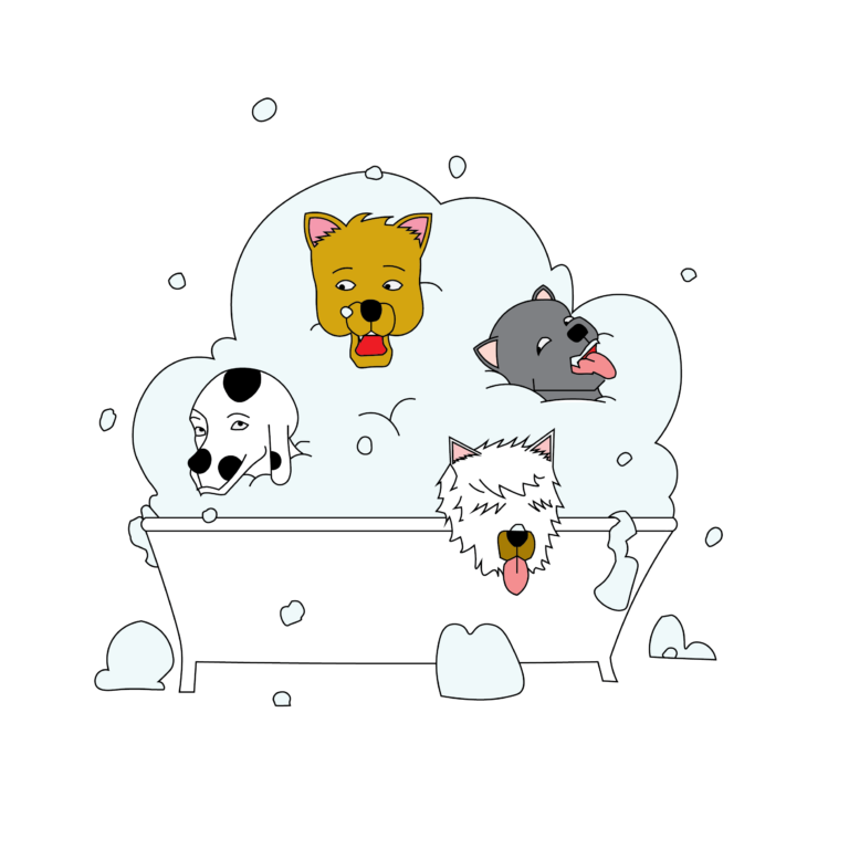 New dog spa opens in Davis