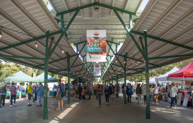 Davis events happening in November