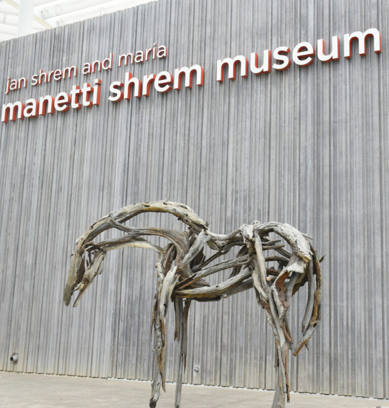 Lo último en exposiciones de arte en Manetti Shrem Museum