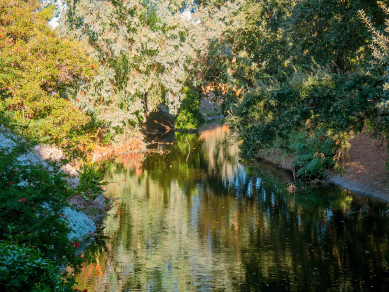 What’s in your water? What students should be mindful of while swimming in Putah Creek