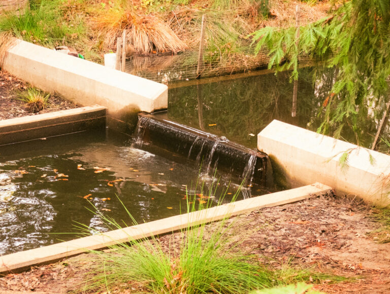 Putah Creek Water Management Initiative seeks community input