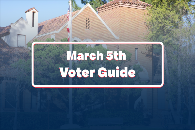 Your local voter guide to the 2024 primary election