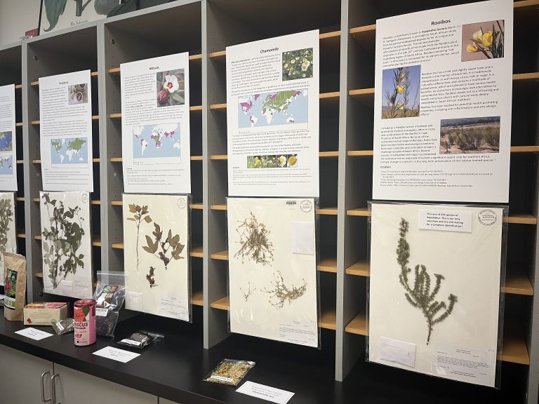 UC Davis hosts annual Biodiversity Museum Day