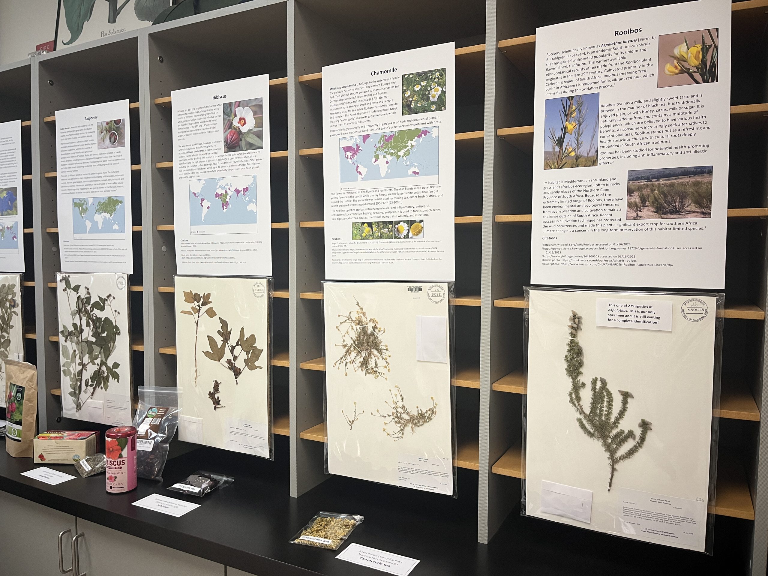 UC Davis hosts annual Biodiversity Museum Day The Aggie