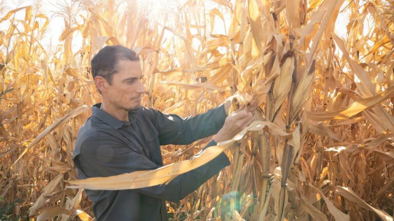 UC Davis evolutionary biology professor Jeffrey Ross-Ibarra awarded National Academy of Sciences Prize in Food and Agriculture Sciences