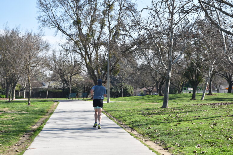 Davis Department of Parks and Community Services seeks feedback to improve parks, amenities