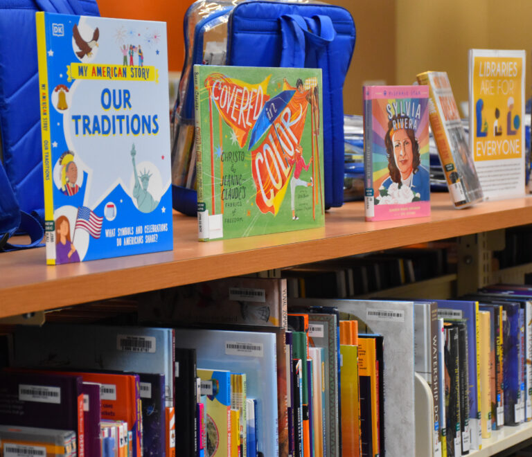 Friends of the Davis Public Library holds monthly book sale at Mary L. Stephens Library