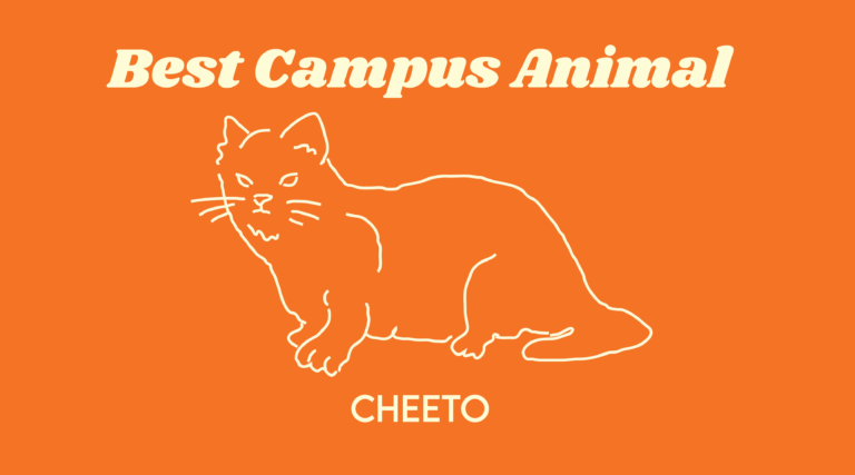 Best campus animal: Cheeto