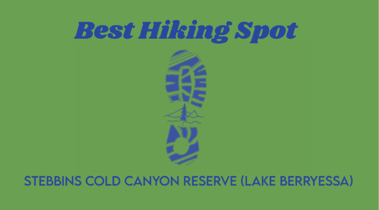 Best hiking spot: Stebbins Cold Canyon Reserve