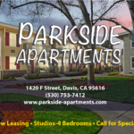 Parkside_online_ad (1)