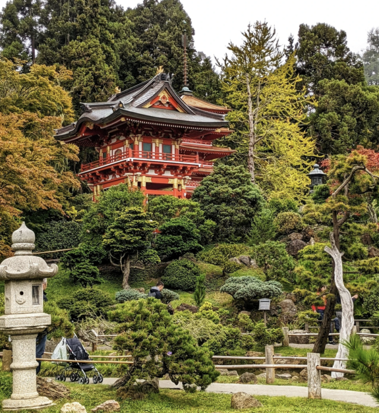 How to make your Golden Gate Park visit more exciting