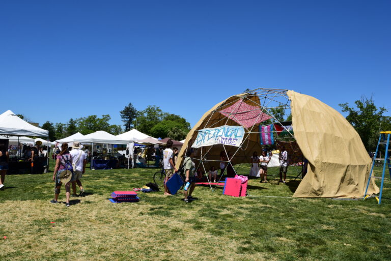 Annual Whole Earth Festival brings together artists of all kinds — ‘Can You Dig It?’