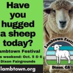 2024 Lambtown Festival – Aggie Digital Ad – 300 x 250 – JPG